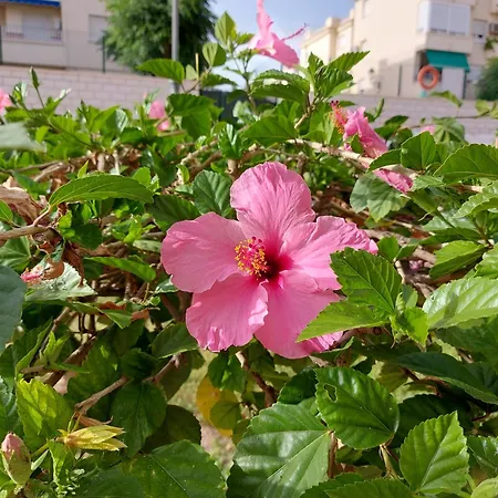 Apartamento Spacious Flat 100m From Beach-nerja-spain *